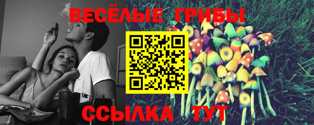 Псилоцибиновые грибы Magic Shrooms Ртищево