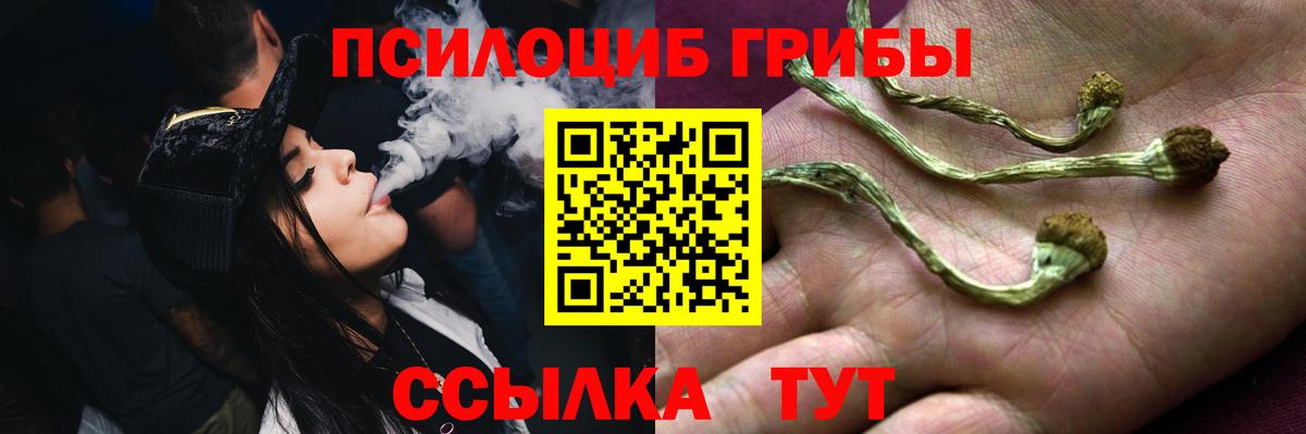 Псилоцибиновые грибы прущие грибы  Вход с VPN  Ртищево 
